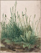 The Large Piece of Turf, 1503 - Albrecht Durer Digital Art by Samuel HUYNH