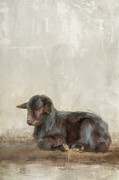 The Little One Sleeps Painting by Jai Johnson