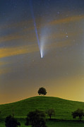 The Lone Wanderer Photograph by Ralf Rohner The Lone Wanderer Photograph by Ralf Rohner