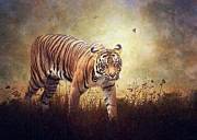 The Look Digital Art by Nicole Wilde