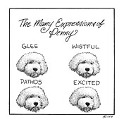 The Many Expressions of Penny Drawing by Harry Bliss