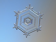 The Microscopic World 10 Digital Art by Christopher Hollon