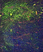 The Minds Symphony - Hypervigilance Splatter Painting Painting by Annalisa Rivera-Franz The Minds Symphony - Hypervigilance Splatter Painting Painting by Annalisa Rivera-Franz