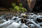 The Narrows Photograph by Larry Marshall