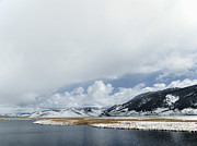 The National Elk Refuge Photograph by Rachel Morrison