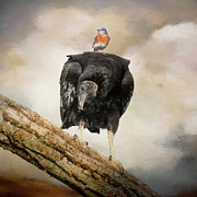 The Odd Couple Photograph by Jai Johnson