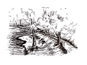 The Path by the Pond Drawing by Joseph A Langley