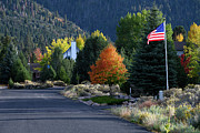 The Fall Patriot Photograph by Dave Diegelman The Fall Patriot Photograph by Dave Diegelman