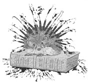The Pen is Mightier Than the Quill Painting by Jenny Armitage