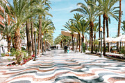 The Promenade Alicante Spain Photograph by Stuart Chard