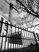 The Reach Of Crane And Trees Photograph by Edward Lee