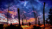 The Remains of the Day Photograph by Micah Offman