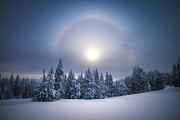 The Ring Photograph by Henry w Liu