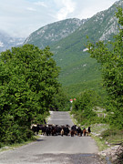 The Road to Theth - Albania Photograph by Phil Banks