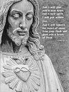 The Saving Heart of Jesus Drawing by Dan Menta