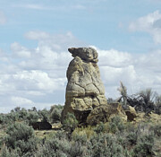 The Sentinel  Photograph by Doug Miller