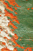 The Spaces Between - II Photograph by Marilyn Cornwell The Spaces Between - II Photograph by Marilyn Cornwell
