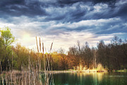 The Spring is slowly coming to the small lake. Photograph by Dejan Travica