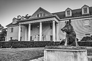 Fayetteville Arkansas School Spirit Sculpture - Black And White Photograph by Gregory Ballos