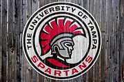 The University Of Tampa Digital Art by Steven Parker