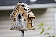 Abandoned bird house Photograph by Lauren Sage
