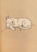 The White Puppy 1909, Poor puppy Drawing by Cecil Aldin