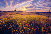 The Yellow Masses Photograph by Slow Fuse Photography