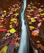 The Zion Crack Photograph by Larry Marshall