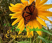 #The_Eco_Spiritual_Experience Photograph by Esoteric Gardens KN
