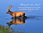 Thirst for the Lord Photograph by Yvonne M Smith