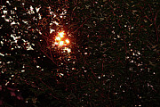 This Burning Island Photograph by Mike Smale