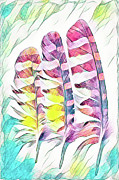 Three Feathers of the Owl Photograph by Kathi Mirto