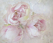 Three Peonies Photograph by Karen Lynch