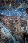Three Rivers Petroglyphs #14 Photograph by Blake Webster