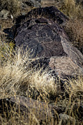 Three Rivers Petroglyphs #18 Photograph by Blake Webster