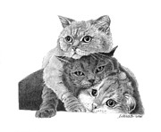 Threes Company Drawing by Louise Howarth