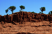 Threes of Gobi Photograph by Elbegzaya Lkhagvasuren Threes of Gobi Photograph by Elbegzaya Lkhagvasuren