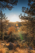 Through it All 1 Photograph by Ryan Weddle
