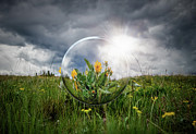 Through the Crystal Ball Photograph by Thomas Nay