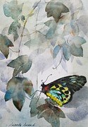 Through the Window of Dreams Painting by Amanda Amend