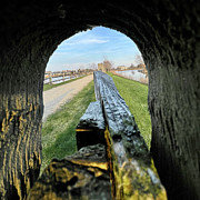 Thru the fence Photograph by Dejan Jovanovic