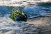 TideRisingOverRock Photograph by Local Snaps Photography