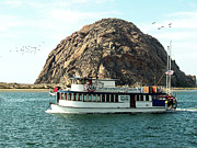 Tigers Folly Morro Bay Photograph by Barbara Snyder