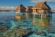 Tikehau Pearl Beach water bungalows Photograph by Olivier Parent
