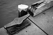 Time to Dock Photograph by JJ Whitley Time to Dock Photograph by JJ Whitley