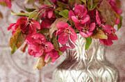 Timeless Spring Photograph by Jill Love