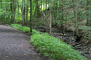 Tinker Falls 6 Photograph by William Norton Tinker Falls 6 Photograph by William Norton