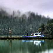 Tiny Boat Photograph by Tony Locke