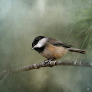 Tiny One Painting by Jai Johnson