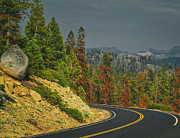 Tioga Pass, Yosemite National Park Photograph by Abigail Diane Photography